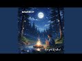 Midnight Woodland