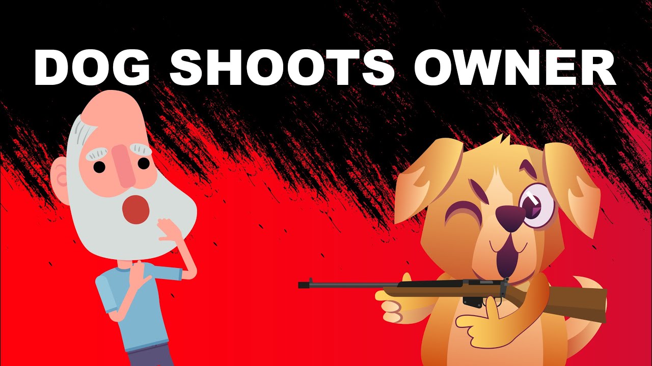Dog Shoots Owner In Freak Accident | Biography | Animated Video - YouTube