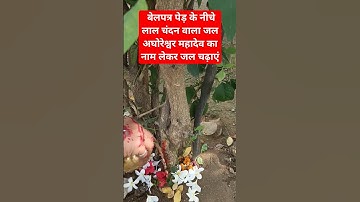 3 महीने में मनोकामना पूर्ण करने वाला उपाय | #pradeepmishrajikeupay #panditpradeepmishraji #pradeep