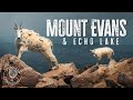 Mount EVANS Colorado | #1 Thing to do in Denver