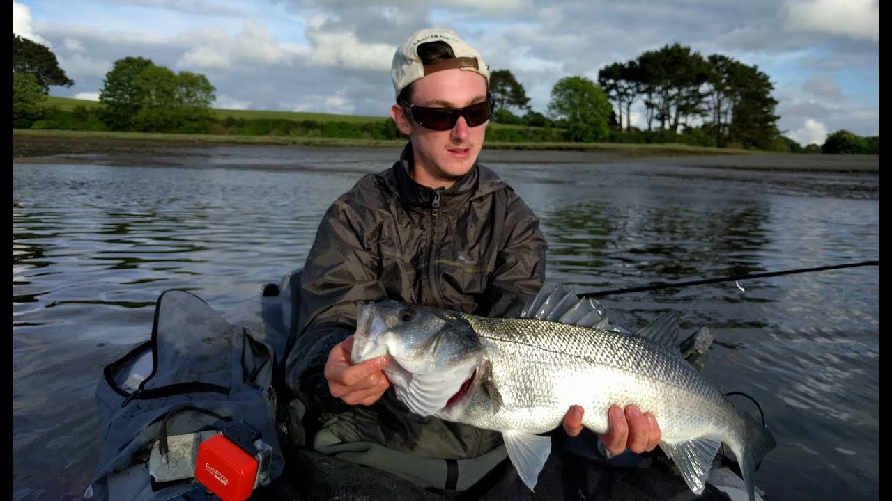 Bar au Leurre de Surface (en Float-Tube en estuaire)