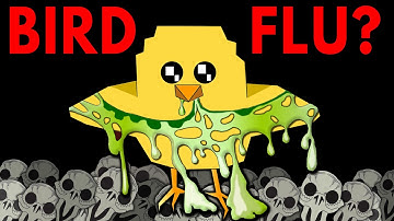 Should You Be Worried About Bird Flu? 🐔