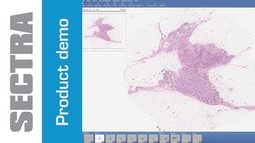Sectra Digital Pathology PACS