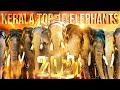 Kerala top 10 elephants 2021