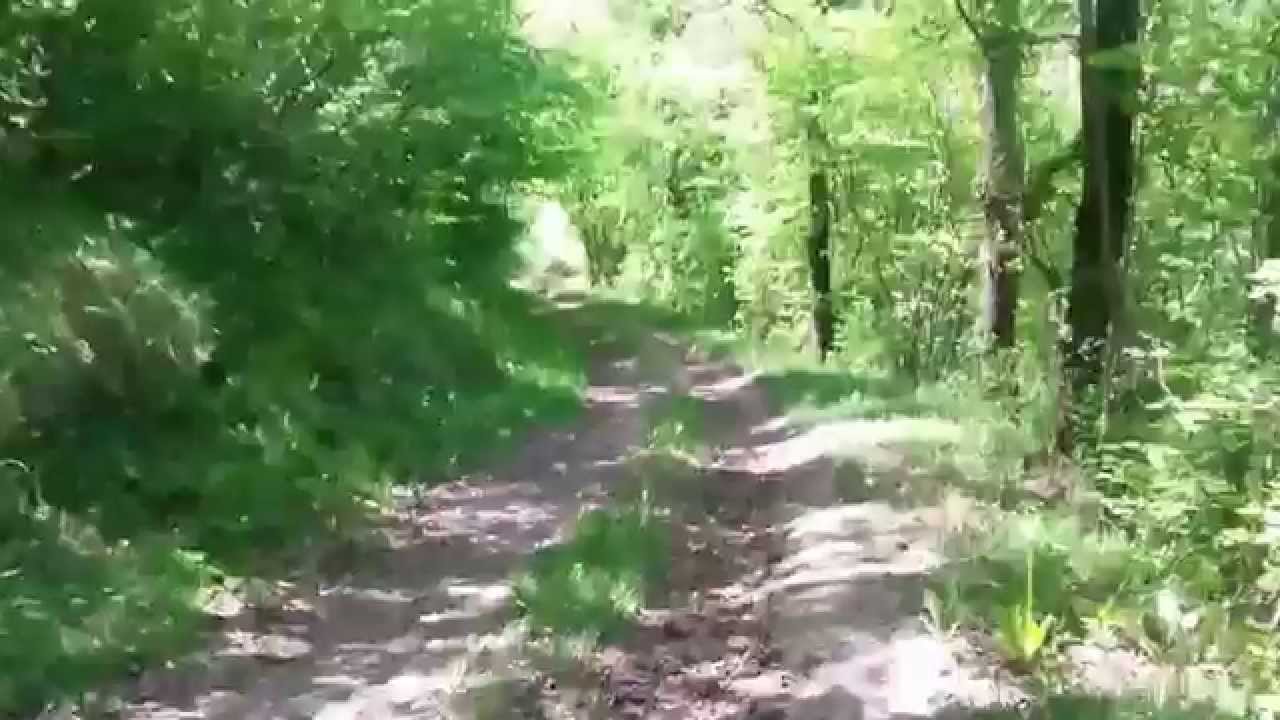 joepost09 : (2) visite commentée des ruines du château féodal de Lavelanet - Ariège