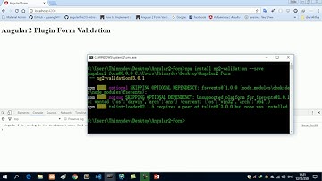 Belajar Angular CLI #23 Form Validation Plugin