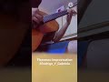 Flamenco Improvisation #flamenco #RodrigoYGabriela #shorts