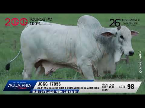 LOTE 98   JCGG 17956