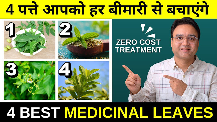 These 4 leaves will save you from hundreds of diseases | 4 Medicinal Leaves for Good Health