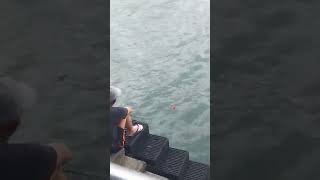 IS HE FISHING or JUST PLAYING😂?#viral #ferryhongkong #spotted #hongkong