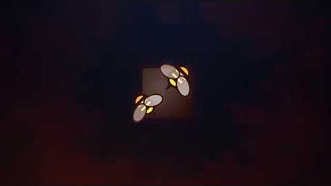 Apex Predator  Lion Reveal | After Efects Project Files