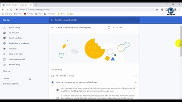 Cách xóa cookie 1 trang web trên trình duyệt Chrome - How to Remove Specific Site Cookies in Chrome