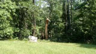 Exploding Target #4 (Full Bottle).wmv