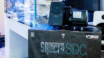 Sicce SYNCRA SDC Unboxing