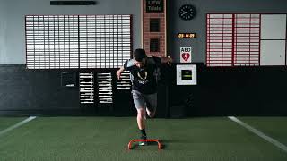 Forward/Backward Hurdle Hops