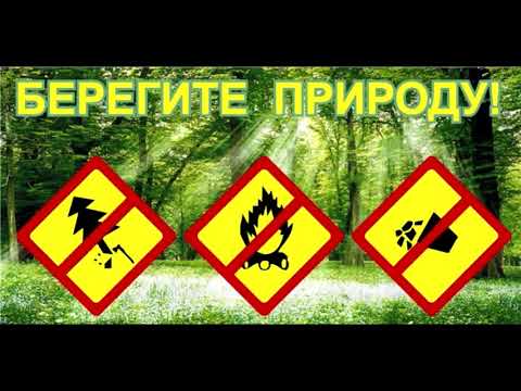 Зачем беречь природу? фильм - видео