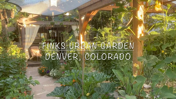 Michael and Aimee Fink's Sustainable Urban Garden