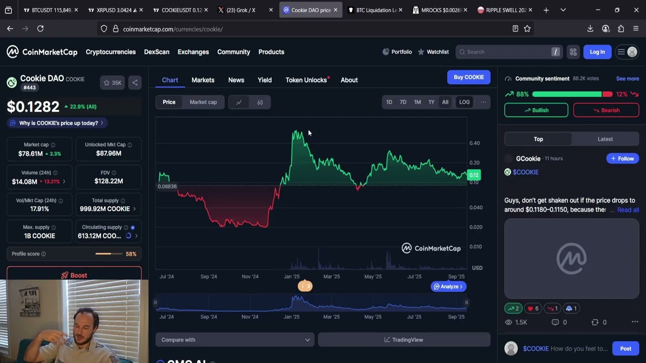 COOKIE DAO MULTI HUNDRED X POTENTIAL THIS CYCLE - YouTube