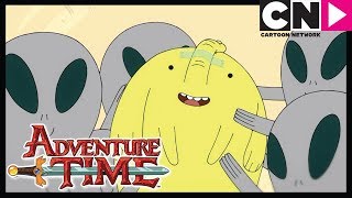 Время приключений | Полная необъяснимость | Cartoon Network