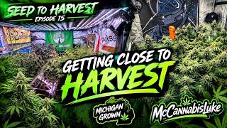 EP|15 Getting close to Harvest
