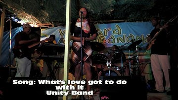Unity Band   Whats Love got to do with it