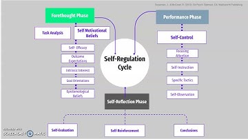 Self-Regulation Cycle