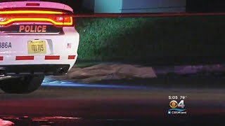 'She Might Still Be Alive': Police Search For Driver Who Hit, Left Woman In Miami Lakes
