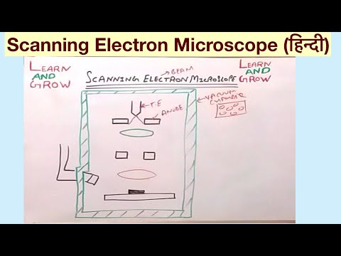 Scanning Electron Microscope