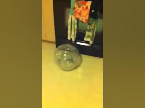 Gizmo ball - YouTube