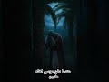قصة موسى عندما دفن أخاه هارون