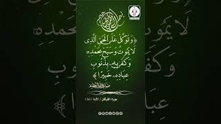 سورة الفرقان || الآية (58) وتوكل على الحي الذي لا يموت وسبح بحمده ۚ وكفى به بذنوب عباده خبيرا