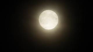 Full moon with a soft haze - No Copyright Video 4K Ultra HD Stock Videos screenshot 5