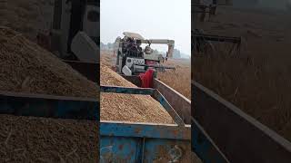 gam operator life style ♥️#odiasong #odia #reels #shortvideo #viralvideo #gam