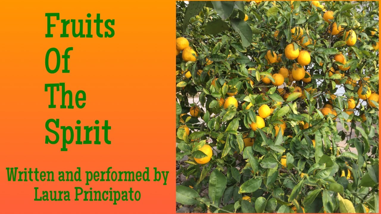 The Master Of Spirit Plants Novel