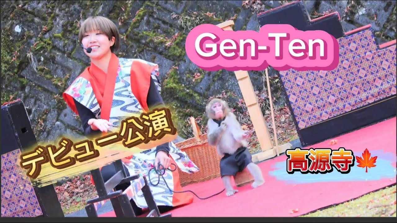 Gen-Ten Debbie performance at Kogenji Monkey show🐵💝Nisukekikaku 