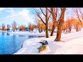 ⛄ Beautiful Winter Snow Scene Relaxing Piano Music -  Soothing Calm Sleep Meditation Yoga Music #17