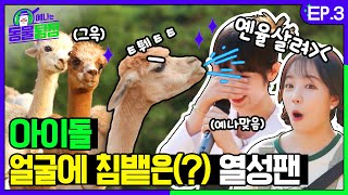 Animal Detective Yena & Yuri! Will Alpacas spit at a smiling face🐑? | Animal Detective EP.03