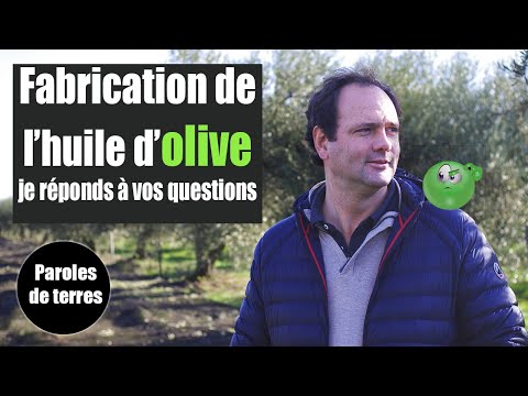 Comment se fabrique l&rsquo;huile d&rsquo;olive ?  Paroles de Terres - Saison 3 #21