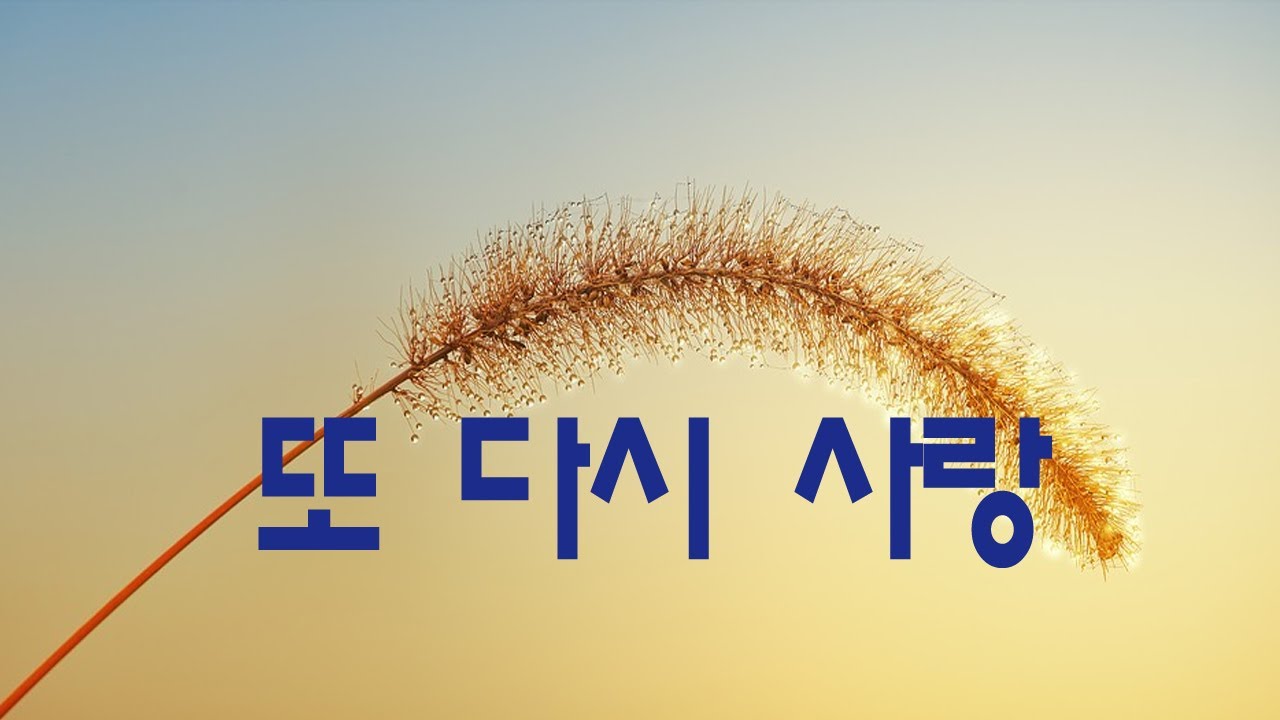 가요, 임창정 - 또 다시 사랑,  반복듣기,  7080, 8090, 국내가요, 한국가요, KPOP