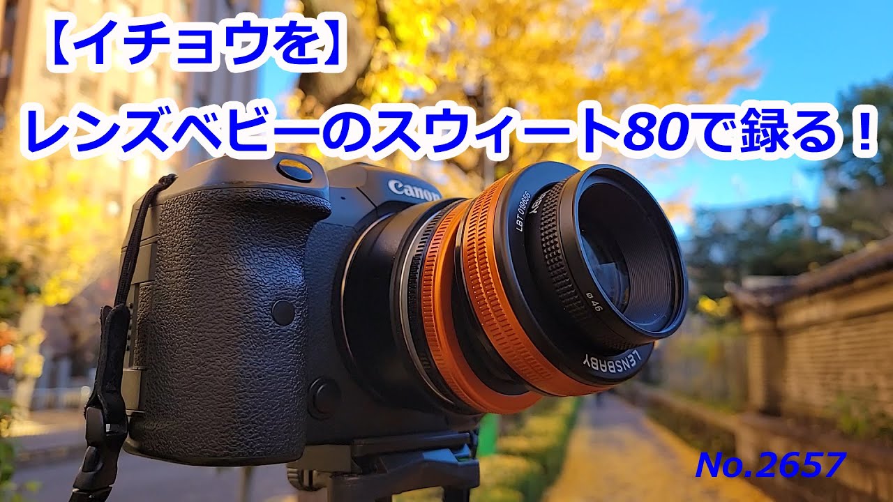 Ginkgo] Recorded with Lensbaby Composer Pro II Sweet 80! (Video No