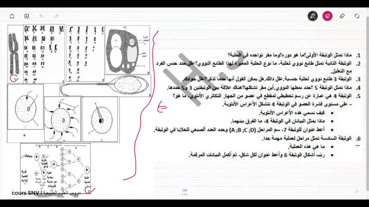 تمرين شامل لمجال الوراثة علوم الطبيعة و الحياة