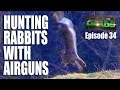 Hunting Rabbits with Airguns - AirHeads Episode 34
