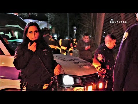 QUEENS: Two-vehicle Crash with Kids