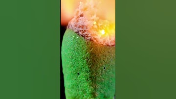 matcstick closeup macro asmr | satisfying video |#macro video #viral #asmr #shortsfeed