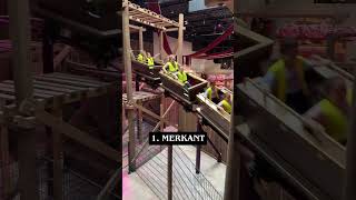 Jak Oceniasz Na Której Atrakcji Jest Najgłośniej ?