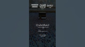 #سورة_الشعراء #عبد_الله_الموسى #قران_كريم #قرآن #راحة_نفسية #قرٱن #القرآن_الكريم