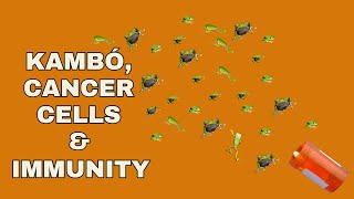 Kambó, Cancer Cells & Immunity: What Science Reveals About Frog Medicine Peptides