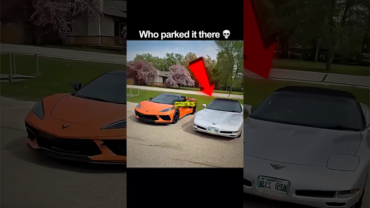 Who parked beside bro 💀