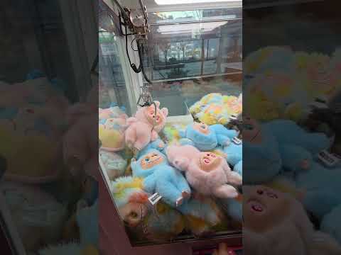 사장님이 싫어하는 기술로 2천원에 지모모[라부부대장] 뽑았습니다 #뽑기 #지모모 #라부부