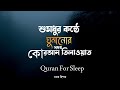সুমধুর কন্ঠে ঘুমানোর সময় কোরআন তিলাওয়াত শুনুন || Quran For Sleep || Omar Hisham